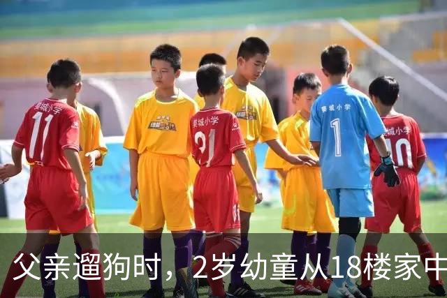 父亲遛狗时，2岁幼童从18楼家中坠亡：母亲报案“过失致人死亡”未获立案，称将申请立案监督